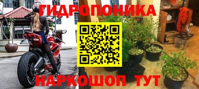 наркотики Вышний Волочёк