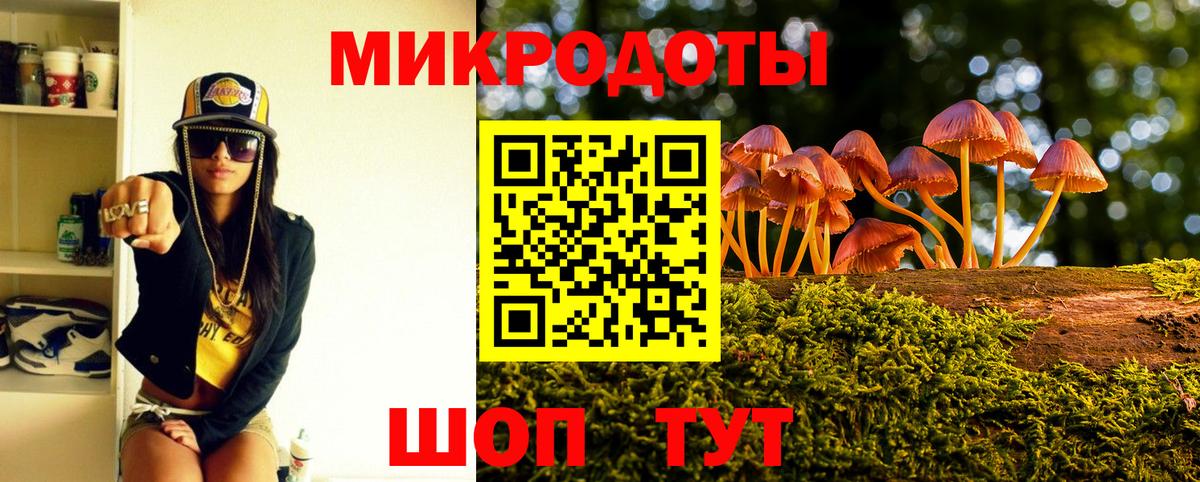 Галлюциногенные грибы GOLDEN TEACHER  Вход с VPN  Аргун 